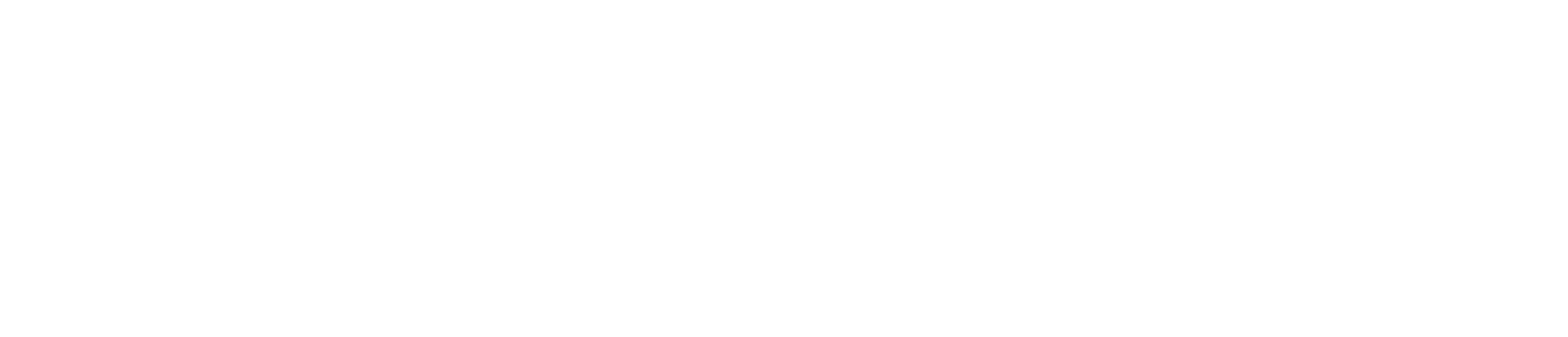 Würzburger Adreßbuch (1897-1917)